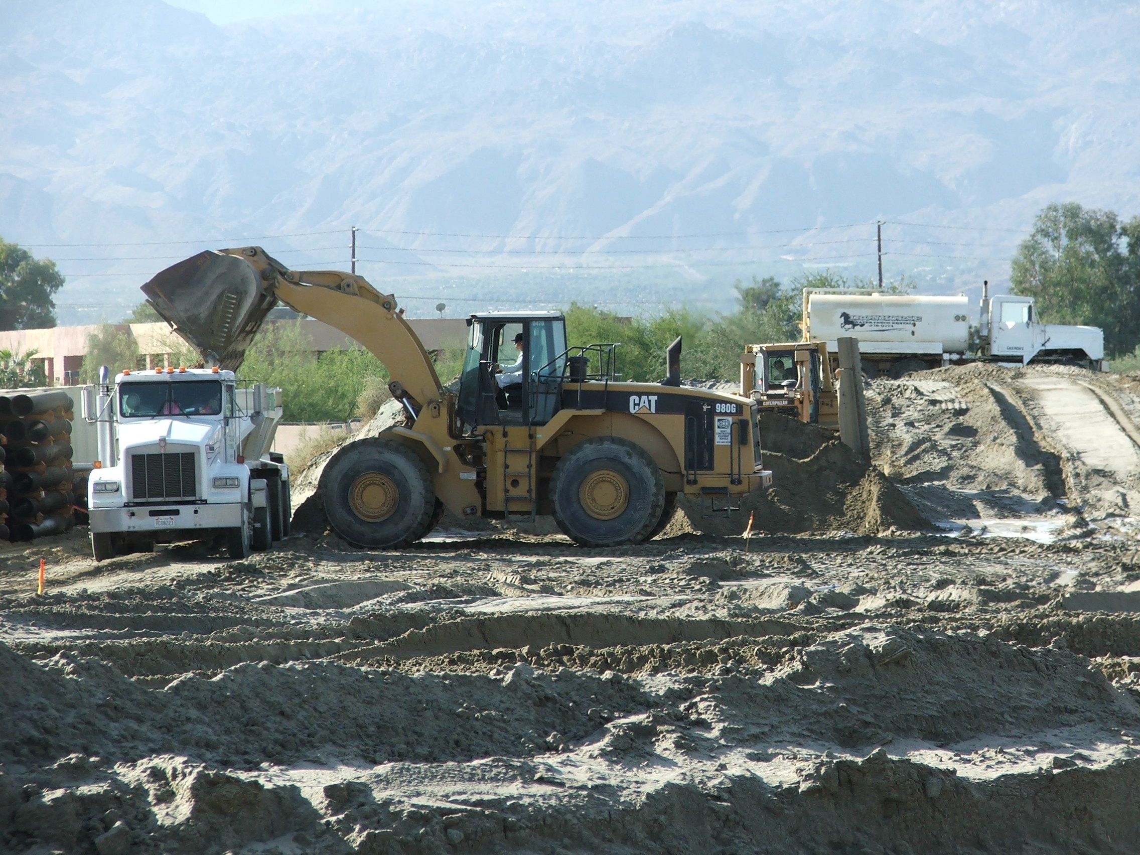 Desert Willow 005